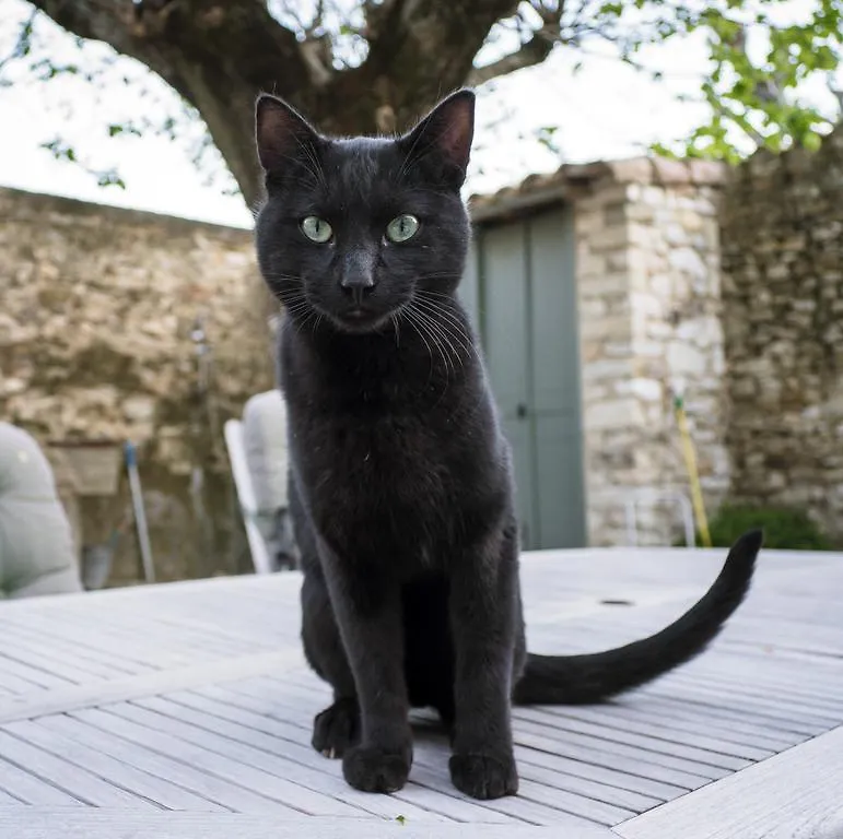 Le Pegue Le Mas De La Fontaine B&B